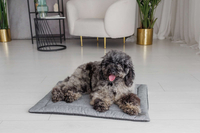 Legowisko mata dla psa Welsti szary melanż len kość M 70x50 wigofil