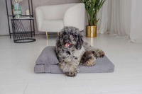 Legowisko materac dla psa Welsti ciemny szary gładki kość M 70x50 wigofil