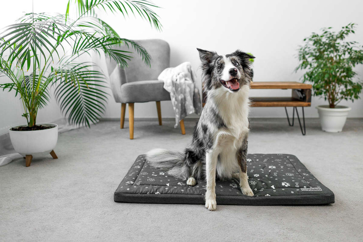 Legowisko materac dla psa Welsti ciemny szary srebrne kości i łapki L 100x70 wigofil