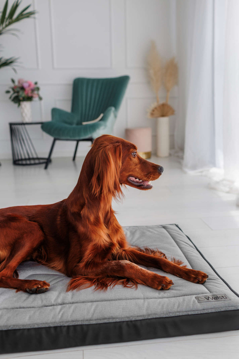 Legowisko materac dla psa Welsti ciemny szary srebrne kości i łapki L 100x70 antypoślizgowy