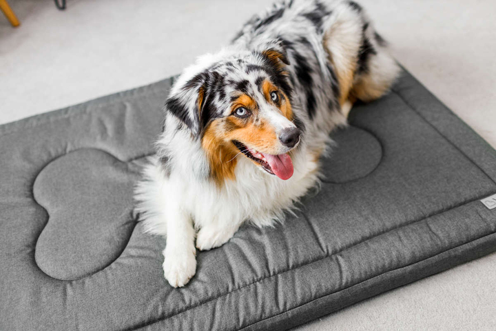 Legowisko materac dla psa Welsti ciemny szary gładki kość XL 130x90 antypoślizgowy