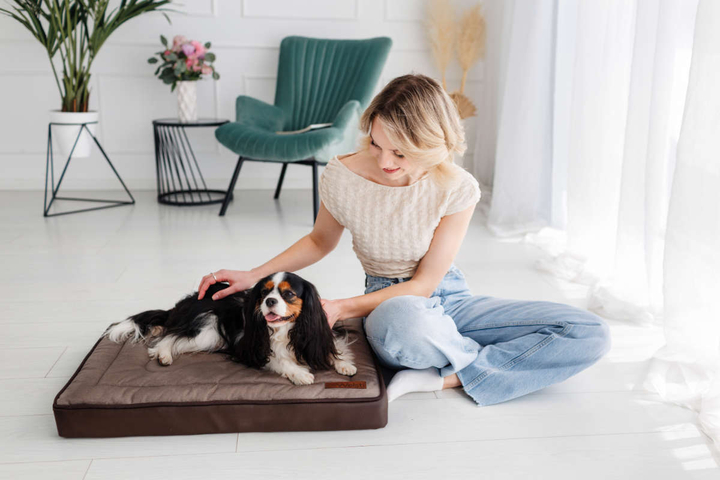 Legowisko materac dla psa Welsti ciemny szary srebrne kości i łapki M 70x50 antypoślizgowy