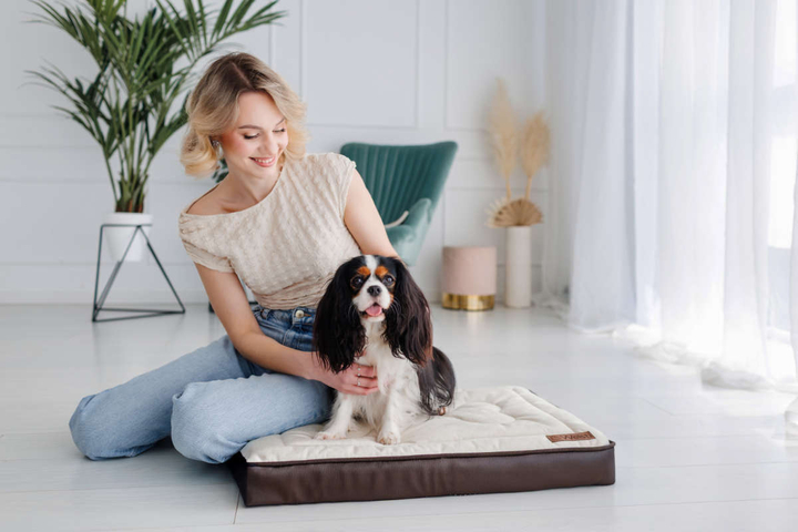 Legowisko materac dla psa Welsti ciemny szary srebrne kości i łapki M 70x50 antypoślizgowy