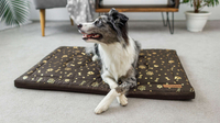 Legowisko materac dla psa Welsti brązowy złote kości i łapki L 100x70 wigofil