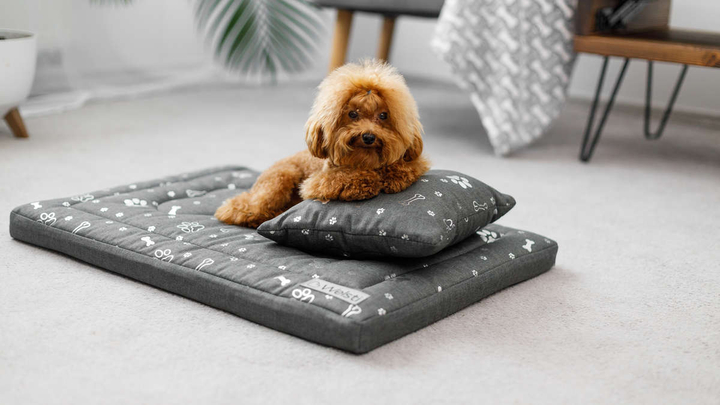 Legowisko materac dla psa Welsti ciemny szary srebrne kości i łapki M 70x50 wigofil