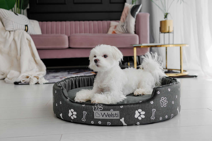 Owalne legowisko kojec dla psa Welsti ciemny szary srebrne kości i łapki M 58x47 wigofil