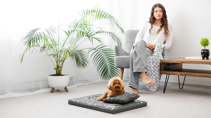 Legowisko materac dla psa Welsti ciemny szary srebrne kości i łapki M 70x50 antypoślizgowy