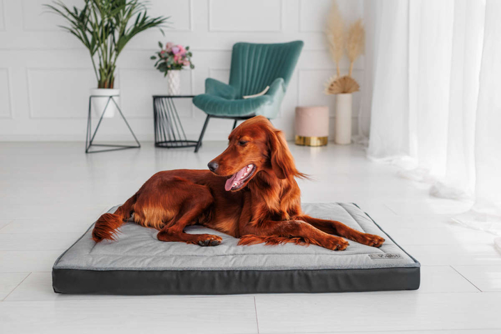 Legowisko materac dla psa Welsti ciemny szary srebrne kości i łapki L 100x70 antypoślizgowy