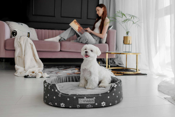Owalne legowisko kojec dla psa Welsti ciemny szary srebrne kości i łapki M 58x47 wigofil