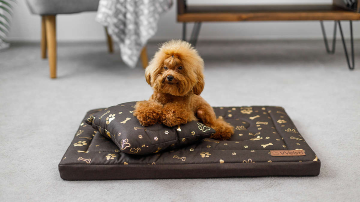 Legowisko materac dla psa Welsti brązowy złote kości i łapki M 70x50 antypoślizgowy