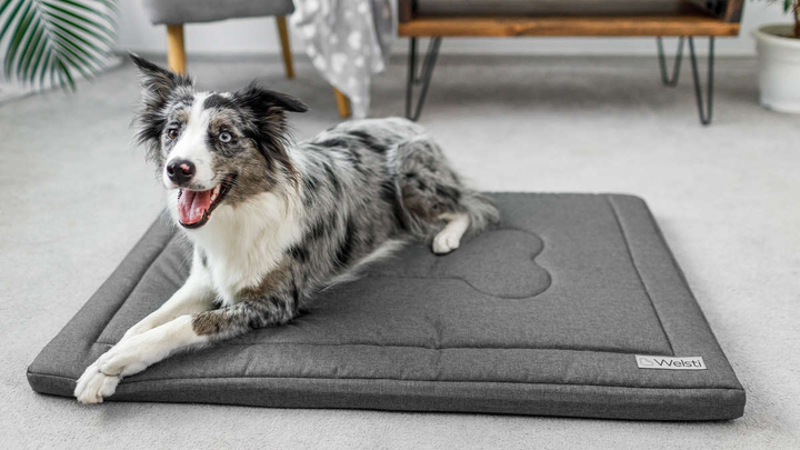 Legowisko materac dla psa Welsti ciemny szary gładki kość L 100x70 antypoślizgowy