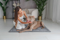 Legowisko mata dla psa Welsti szary melanż len kość XL 130x90 wigofil