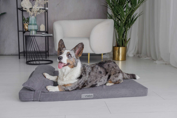 Legowisko materac dla psa Welsti ciemny szary gładki kość M 70x50 wigofil