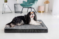 Legowisko materac dla psa Welsti ciemny szary srebrne kości i łapki M 70x50 antypoślizgowy