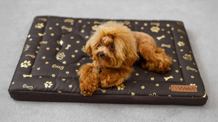 Legowisko materac dla psa Welsti brązowy złote kości i łapki M 70x50 wigofil