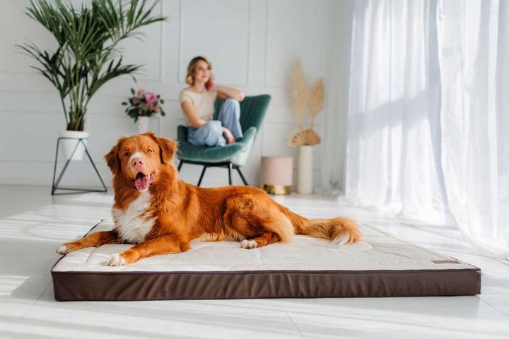 Legowisko materac dla psa Welsti ciemny szary srebrne kości i łapki XL 130x90 antypoślizgowy