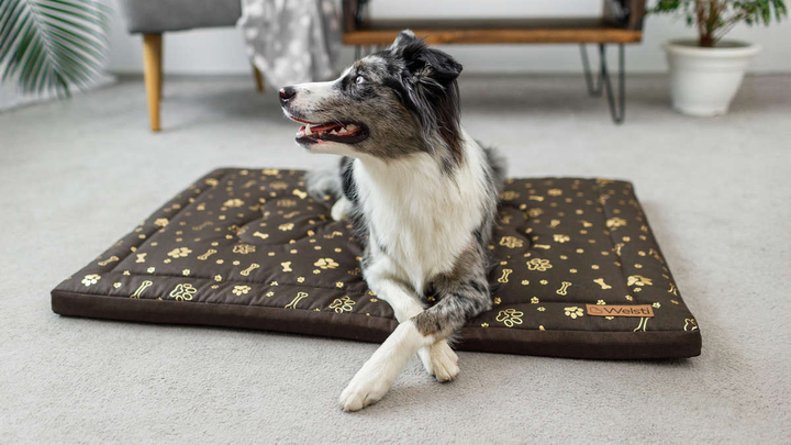 Legowisko materac dla psa Welsti brązowy złote kości i łapki L 100x70 antypoślizgowy