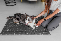 Legowisko mata dla psa Welsti ciemna szara srebrne kości i łapki L 100x70 wigofil