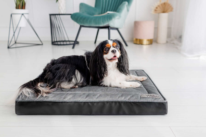 Legowisko materac dla psa Welsti ciemny szary srebrne kości i łapki M 70x50 antypoślizgowy