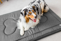 Legowisko materac dla psa Welsti ciemny szary gładki kość XL 130x90 wigofil