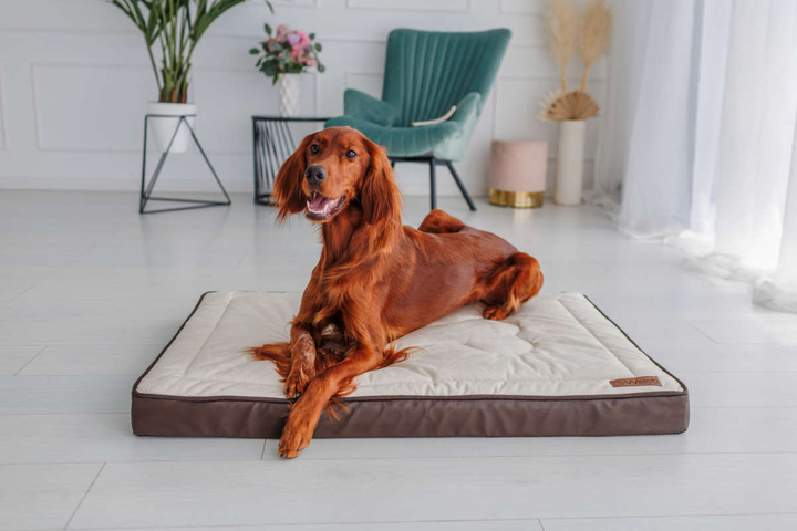 Legowisko materac dla psa Welsti ciemny szary srebrne kości i łapki L 100x70 antypoślizgowy