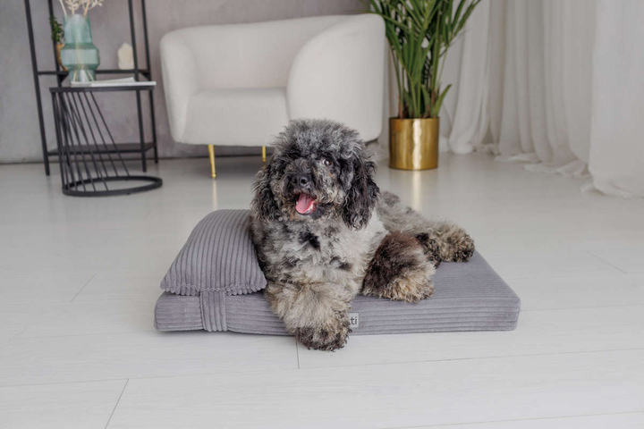 Legowisko materac dla psa Welsti ciemny szary gładki kość M 70x50 wigofil