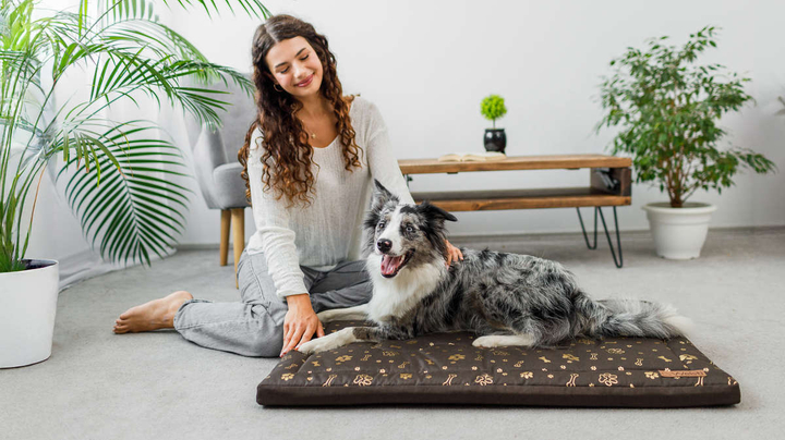 Legowisko materac dla psa Welsti brązowy złote kości i łapki L 100x70 antypoślizgowy