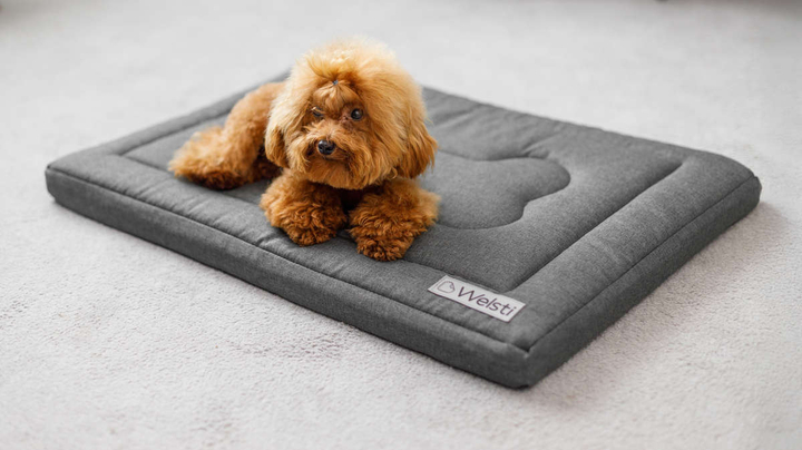Legowisko materac dla psa Welsti ciemny szary gładki kość M 70x50 antypoślizgowy