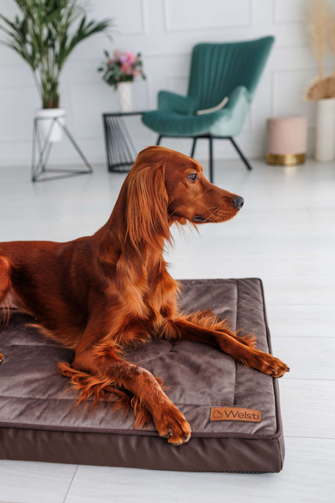 Legowisko materac dla psa Welsti ciemny szary srebrne kości i łapki L 100x70 antypoślizgowy