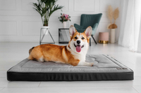 Legowisko materac dla psa Welsti ciemny szary srebrne kości i łapki L 100x70 antypoślizgowy