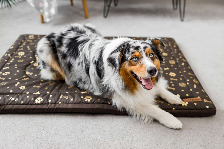 Legowisko materac dla psa Welsti brązowy złote kości i łapki XL 130x90 wigofil