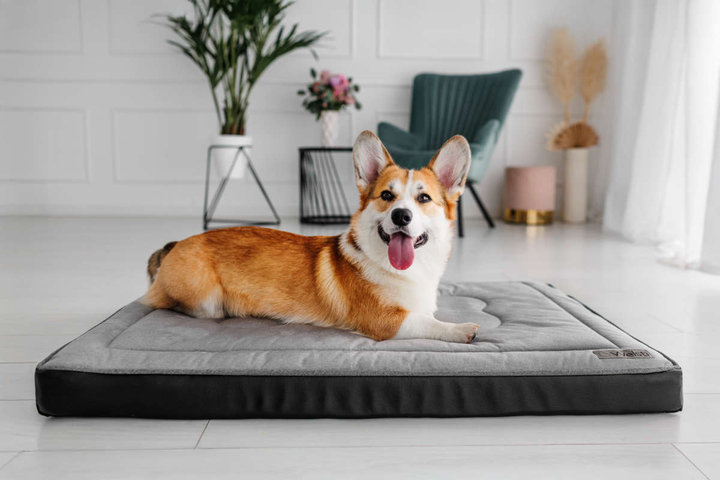 Legowisko materac dla psa Welsti ciemny szary srebrne kości i łapki L 100x70 antypoślizgowy