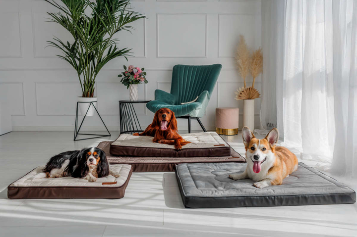 Legowisko materac dla psa Welsti ciemny szary srebrne kości i łapki M 70x50 antypoślizgowy