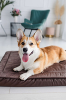 Legowisko materac dla psa Welsti ciemny szary srebrne kości i łapki L 100x70 antypoślizgowy