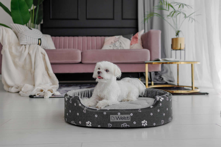 Owalne legowisko kojec dla psa Welsti ciemny szary srebrne kości i łapki M 58x47 wigofil