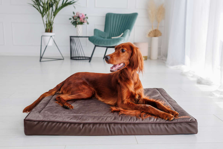 Legowisko materac dla psa Welsti ciemny szary srebrne kości i łapki L 100x70 antypoślizgowy