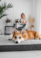 Legowisko materac dla psa Welsti ciemny szary srebrne kości i łapki L 100x70 antypoślizgowy