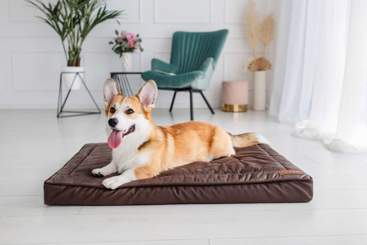 Legowisko materac dla psa Welsti ciemny szary srebrne kości i łapki L 100x70 antypoślizgowy