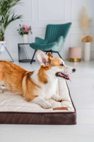 Legowisko materac dla psa Welsti ciemny szary srebrne kości i łapki L 100x70 antypoślizgowy