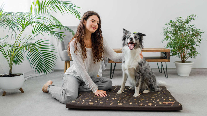 Legowisko materac dla psa Welsti brązowy złote kości i łapki L 100x70 wigofil