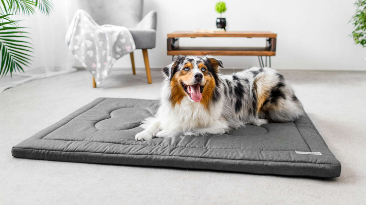 Legowisko materac dla psa Welsti ciemny szary gładki kość XL 130x90 antypoślizgowy