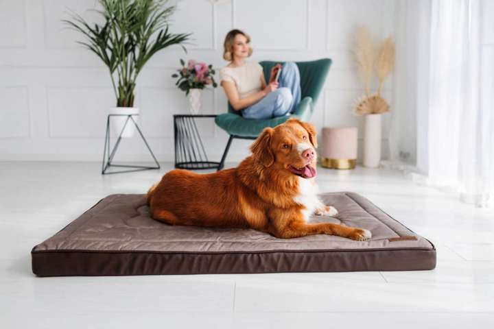 Legowisko materac dla psa Welsti ciemny szary srebrne kości i łapki XL 130x90 antypoślizgowy