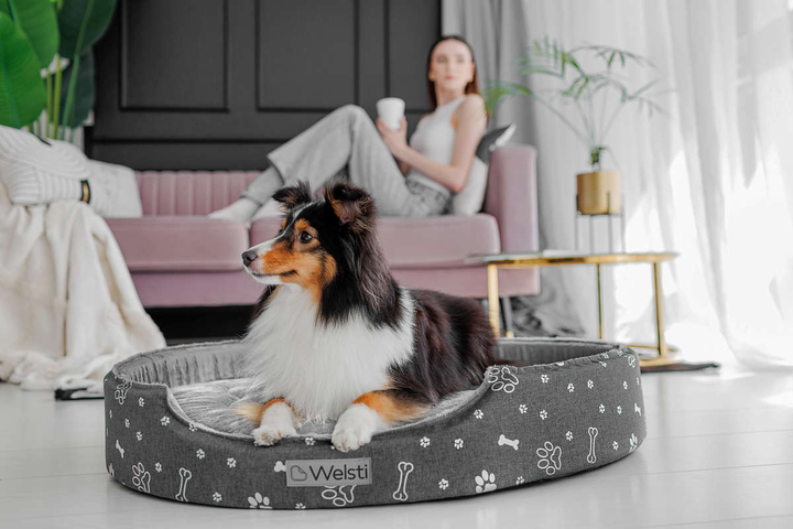 Owalne legowisko kojec dla psa Welsti ciemny szary srebrne kości i łapki XL 80x67 antypoślizgowy