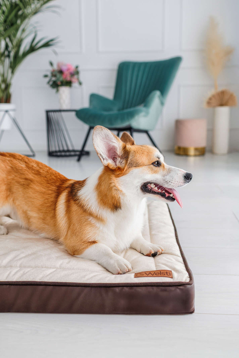 Legowisko materac dla psa Welsti ciemny szary srebrne kości i łapki L 100x70 antypoślizgowy