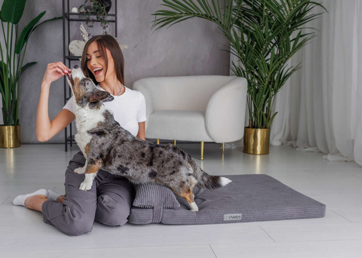 Legowisko materac dla psa Welsti ciemny szary gładki kość M 70x50 wigofil