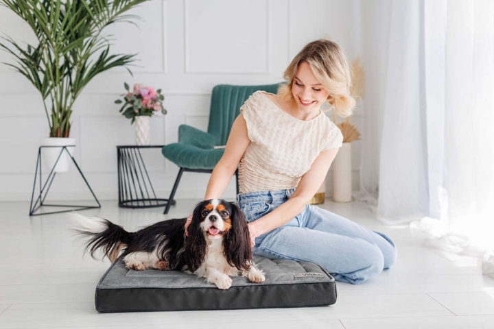 Legowisko materac dla psa Welsti ciemny szary srebrne kości i łapki M 70x50 antypoślizgowy