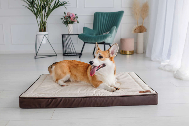 Legowisko materac dla psa Welsti ciemny szary srebrne kości i łapki L 100x70 antypoślizgowy