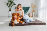 Legowisko materac dla psa Welsti ciemny szary srebrne kości i łapki XL 130x90 antypoślizgowy