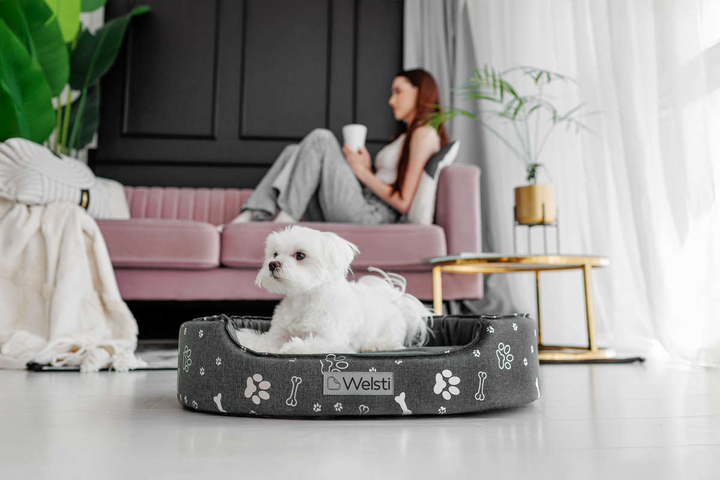 Owalne legowisko kojec dla psa Welsti ciemny szary srebrne kości i łapki M 58x47 antypoślizgowy