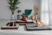 Legowisko materac dla psa Welsti ciemny szary srebrne kości i łapki M 70x50 antypoślizgowy